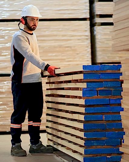 Solid Wood Panel